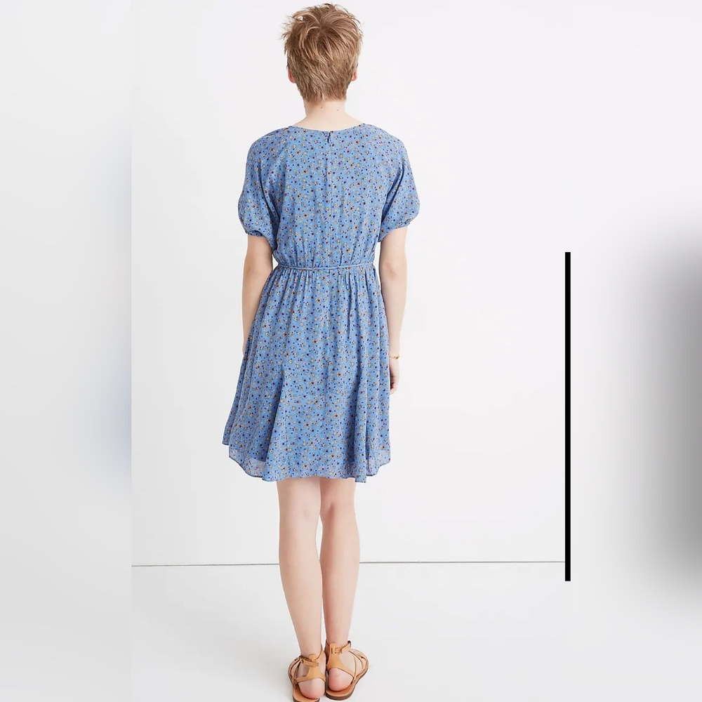 Madewell Button Dress PANSY FLORAL blue viscose Caliso Floral Size 6 $128 - Picture 3 of 16